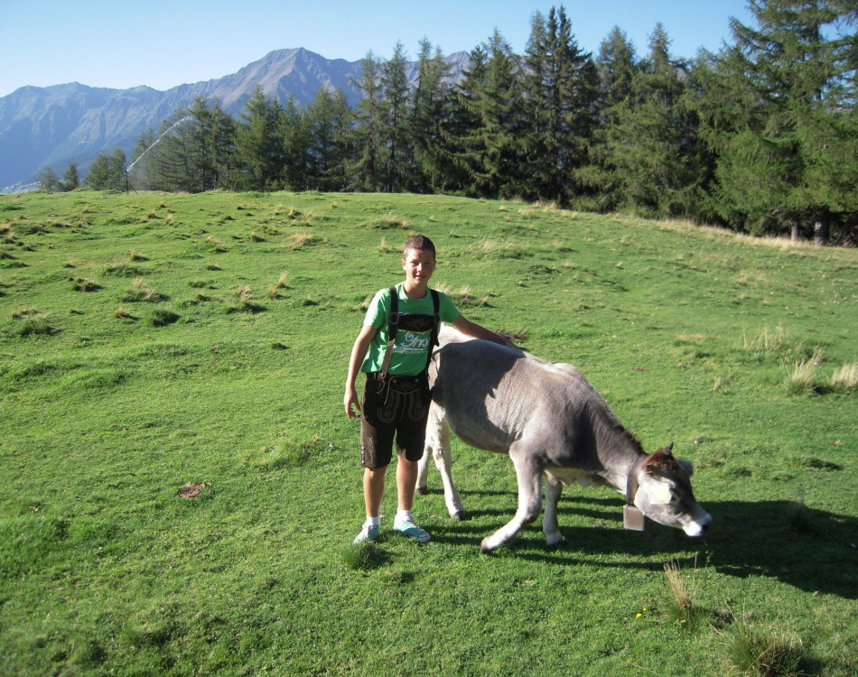 Auf der Alm