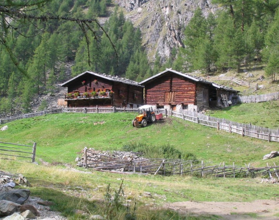 Alpine pasture