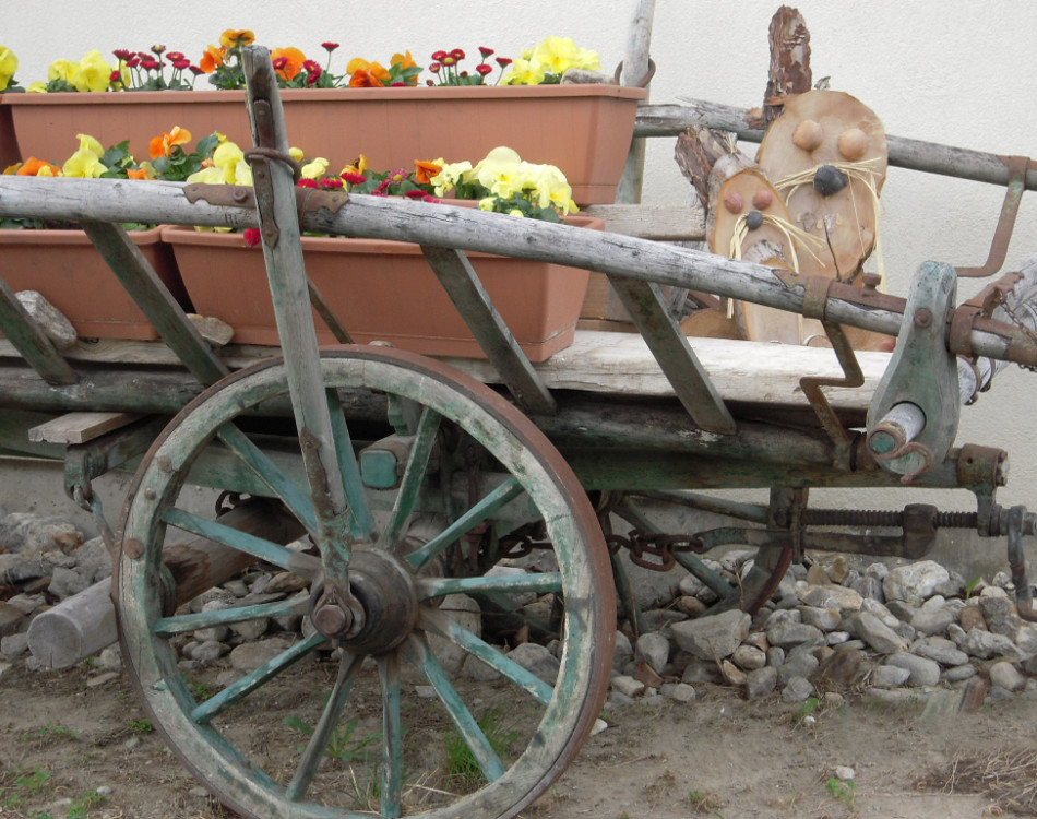 Carrozza in giardino