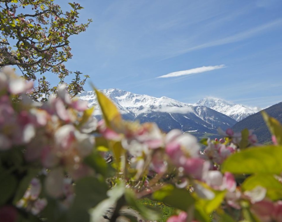 Spectacular view over the Vinschgau Valley